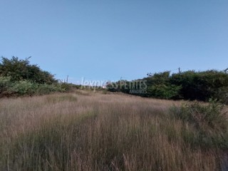 Residential Land for Sale in Pereybere