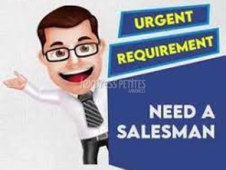 We are looking for Salesmen to work for a Manufacturing company delivering products in retail supermarkets and shops